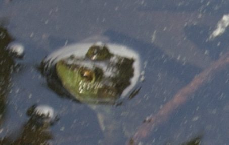 DSC_0188_3.jpg
