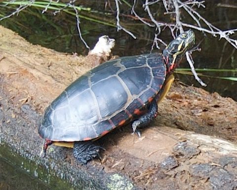 DSC_0230_2.jpg